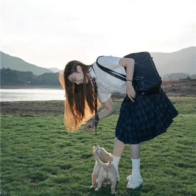 红花之歌