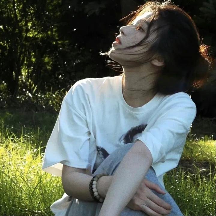 小猫熊历险记